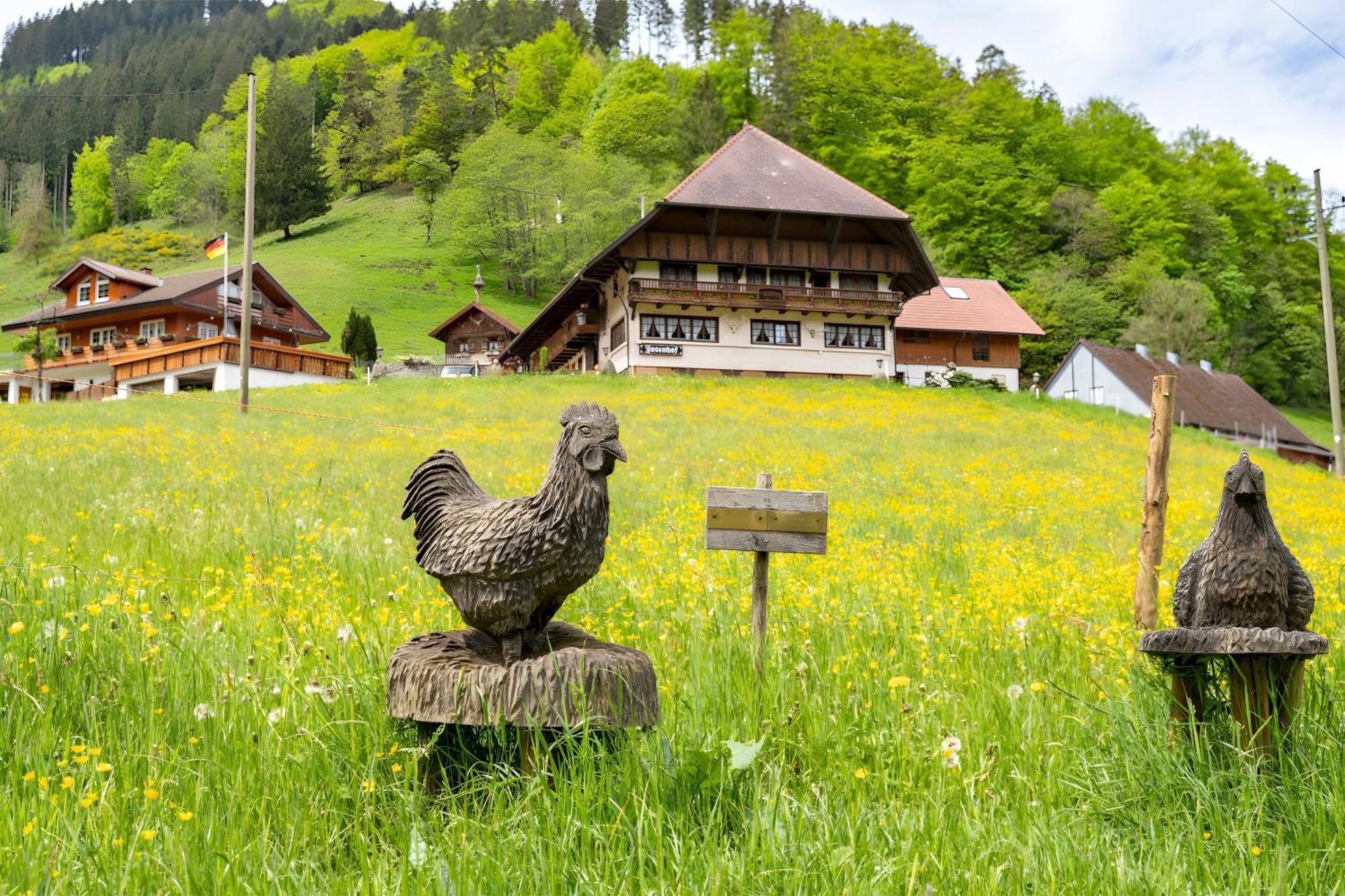 Josenhof Wolfach Exterior foto